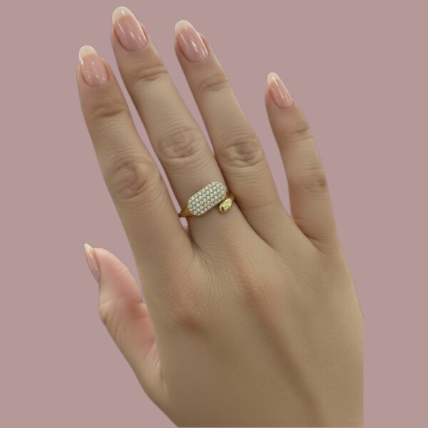 Bague en acier inoxydable